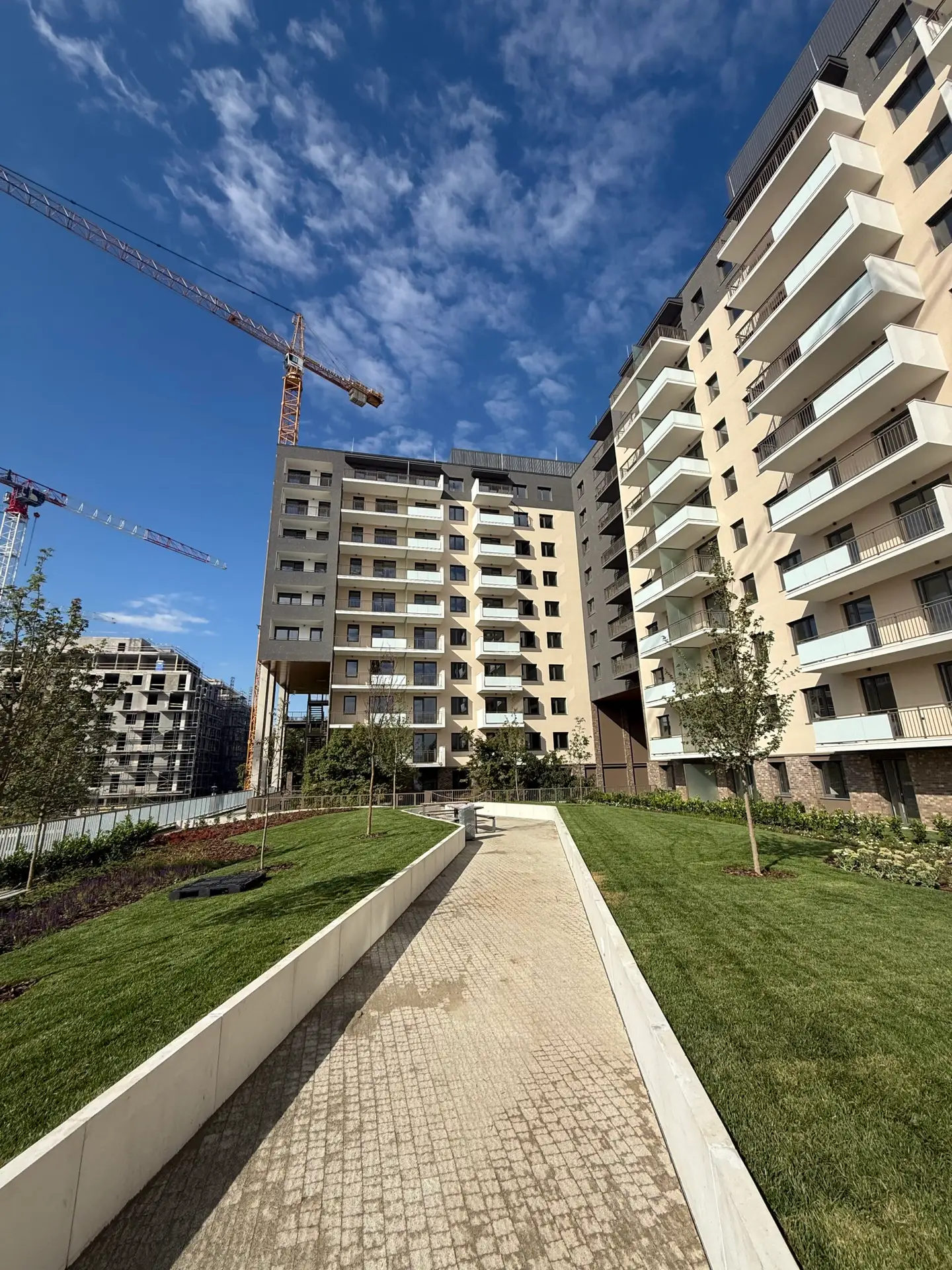 Lakópark belső kertje